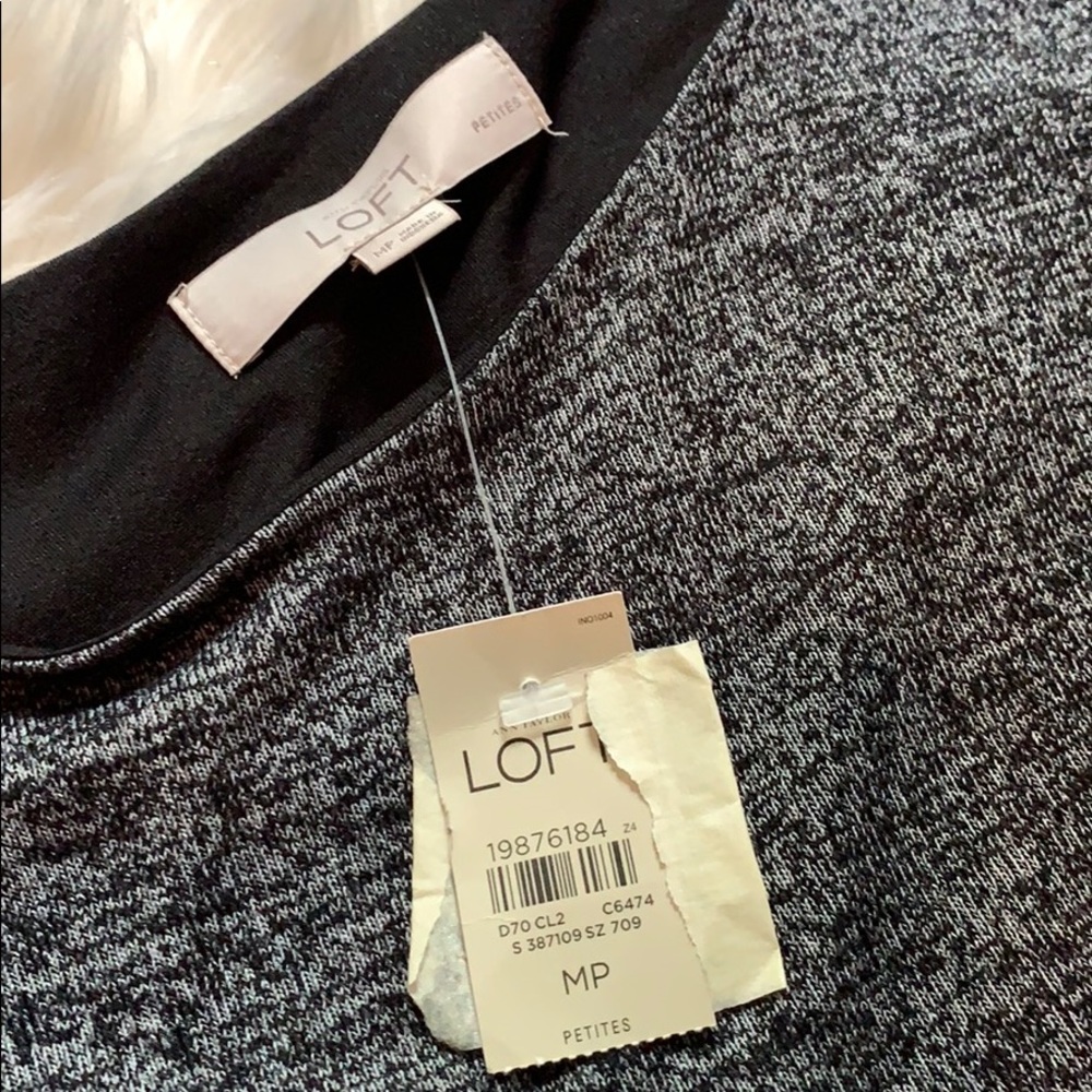 Loft Medium Petite Gray Fitted Dress - Picture 7 of 7